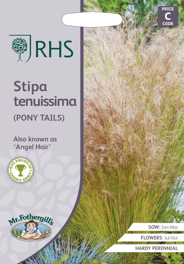 RHS Stipa Tenuissima