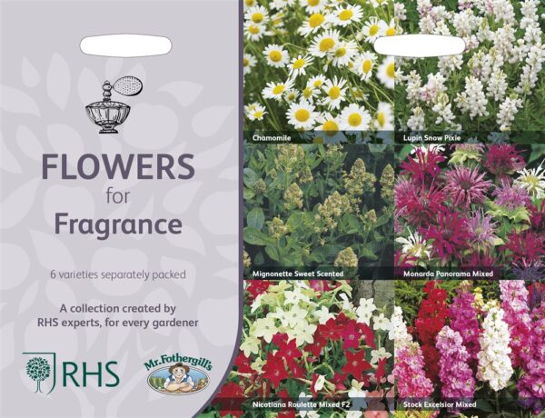 RHS Flowers For Fragrance