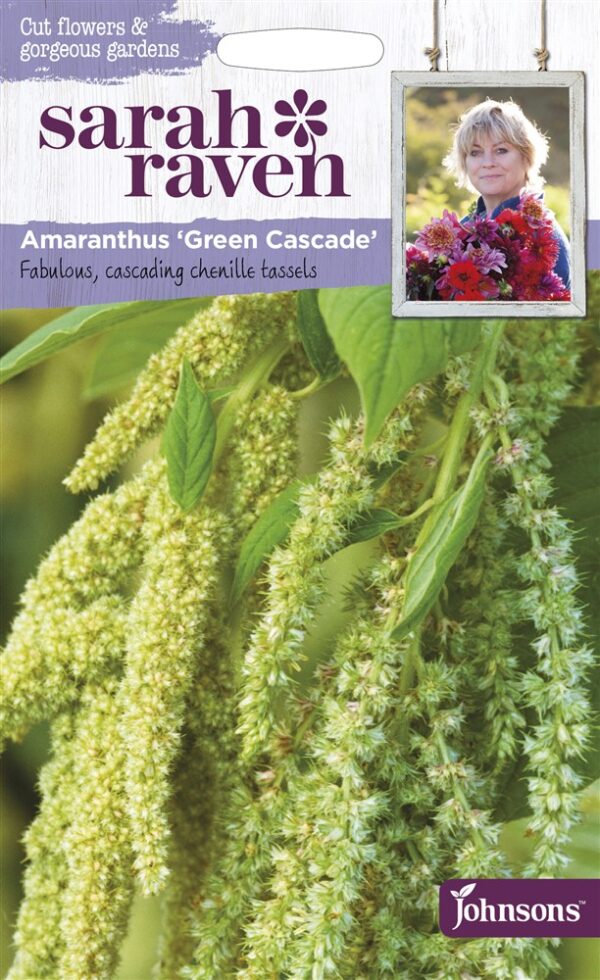 SR Amaranthus Green Cascade