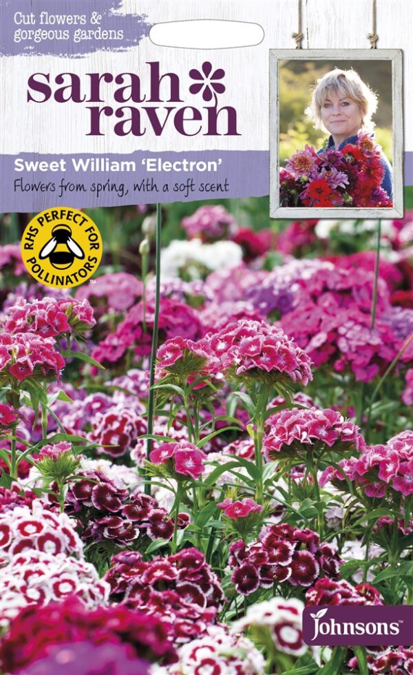 SR Sweet William Electron