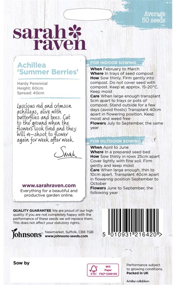 SR Achillea Summer Berries