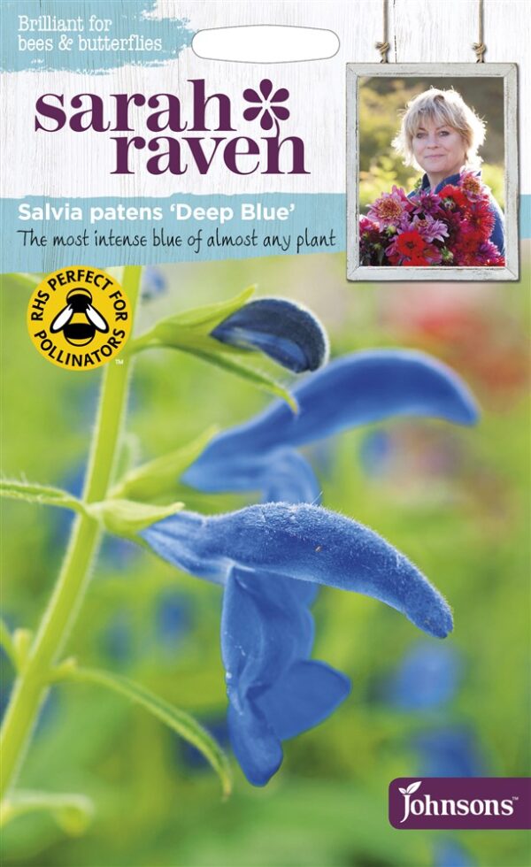SR Salvia Deep Blue