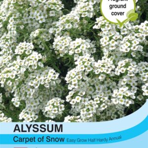 Alyssum Carpet of Snow