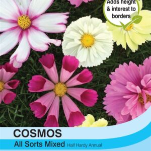 Cosmos All Sorts Mixed
