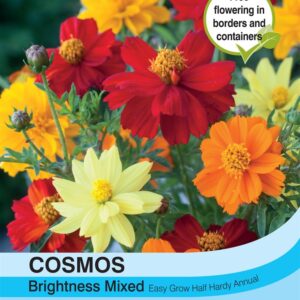 Cosmos Brightness Mixed