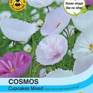 Cosmos Cupcakes - Mixed