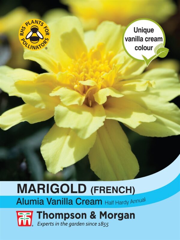 Marigold Alumia Vanilla