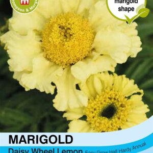 Marigold Daisy Wheel Lemon