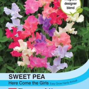 Sweet Pea Here Come the