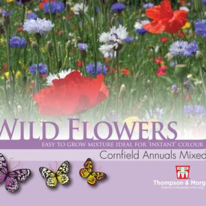 Wild Flower Cornfield