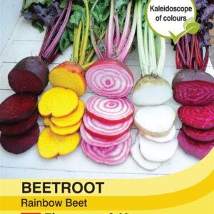 Beetroot Rainbow Beet