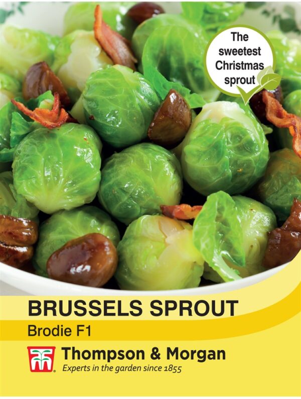 Brussels Sprout Brodie F1