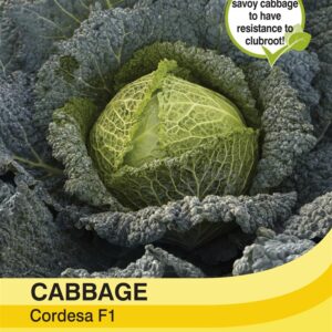 Vegetable Thompson & Morgan 30 Seed Cabbage chinese Natsuki F1 Hybrid