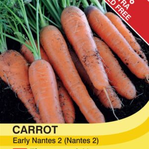 Carrot Early Nantes 2