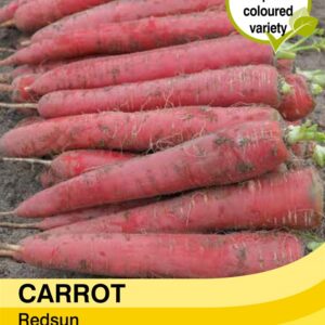 Carrot Redsun