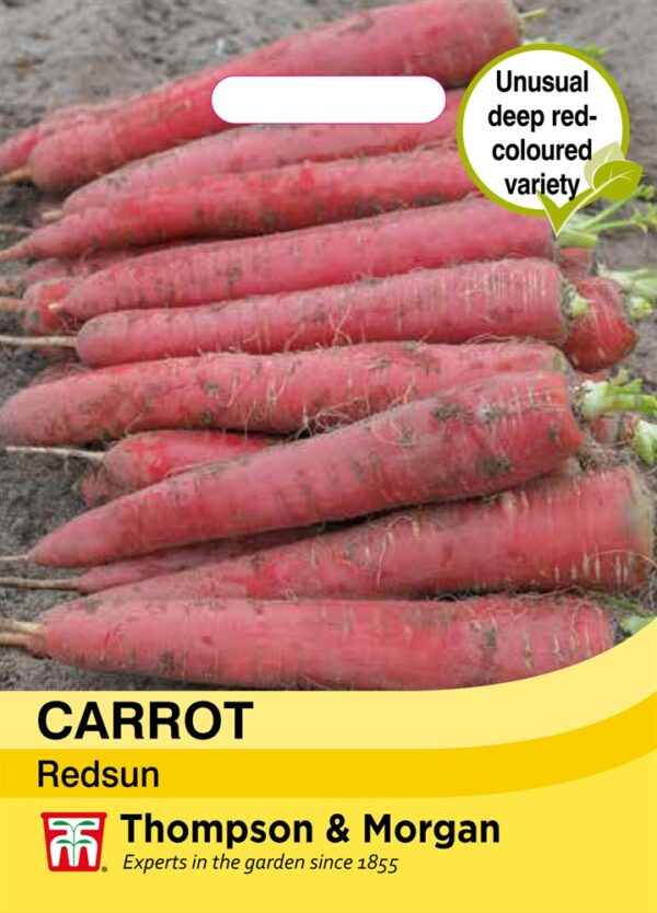 Carrot Redsun