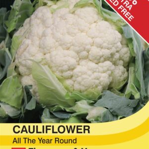 Cauliflower All The Year