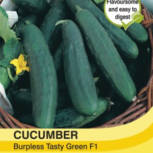Cucumber Burpless Tasty