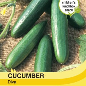 Cucumber Diva