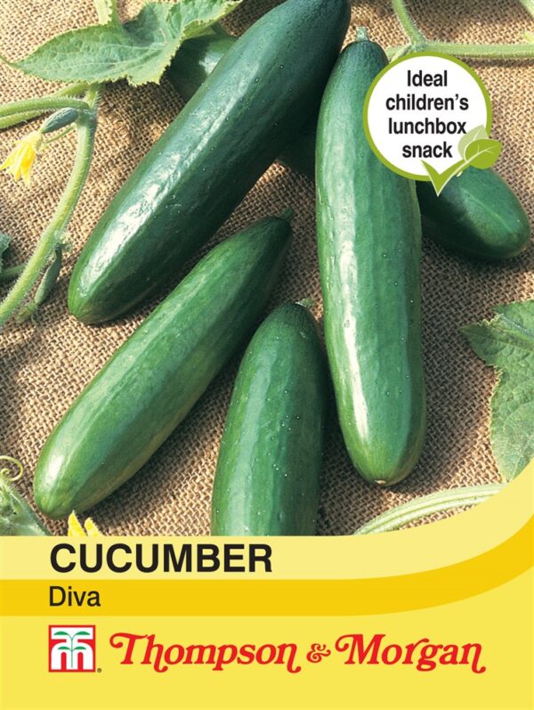 Cucumber Diva