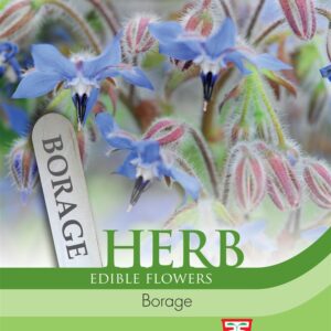 Herb Borage
