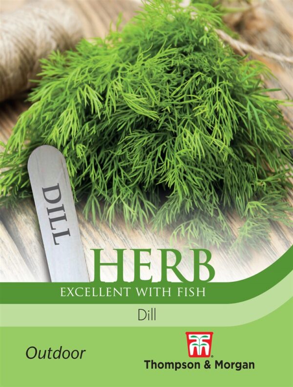 Herb Dill