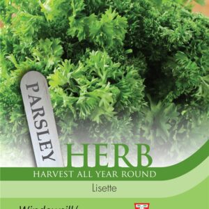 Herb Parsley Lisette