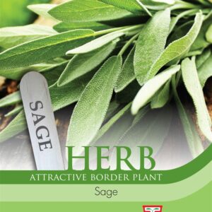 Herb Sage