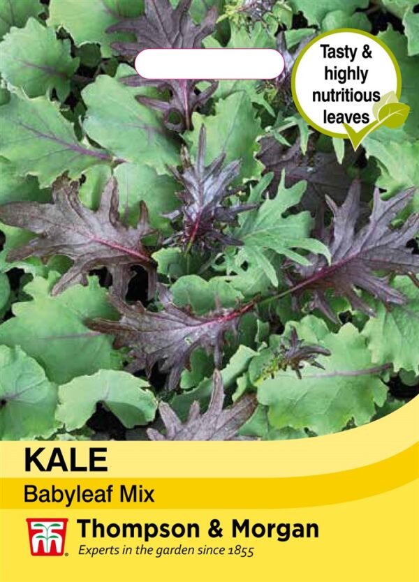 Kale Babyleaf Mix