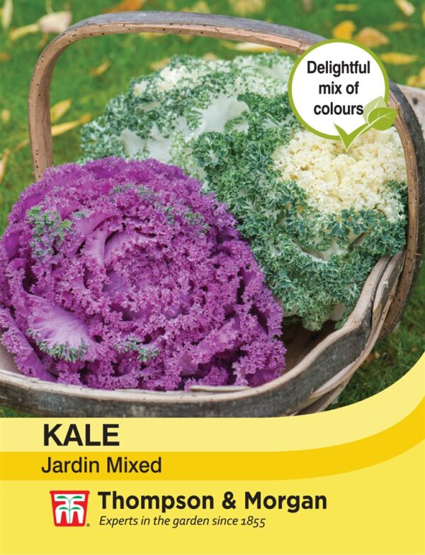 Kale Jardin Mixed