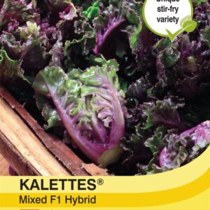 Kalettes® Garden Mix F1