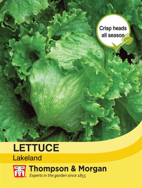 Lettuce Lakeland Iron Acton Garden Centre