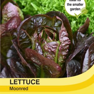 Lettuce Moonred