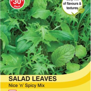 Salad Leaves - Nice n Spicy
