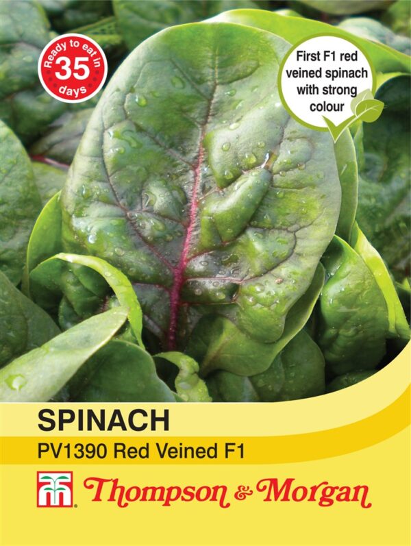 Spinach PV1390 Red Veined