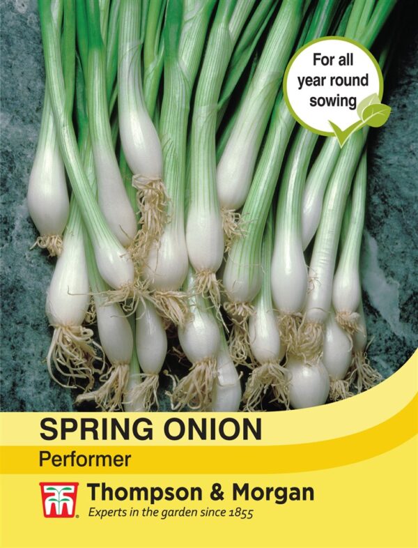 Spring Onion Performer