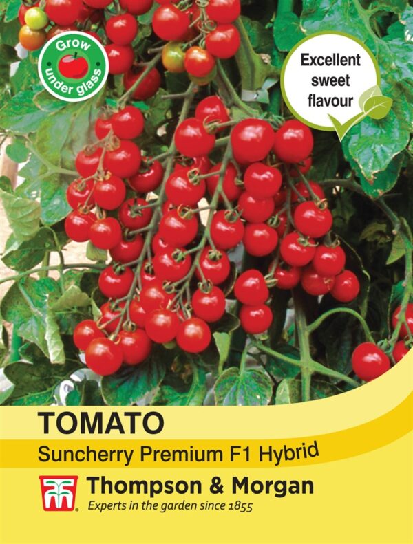 Tomato Suncherry Premium F1
