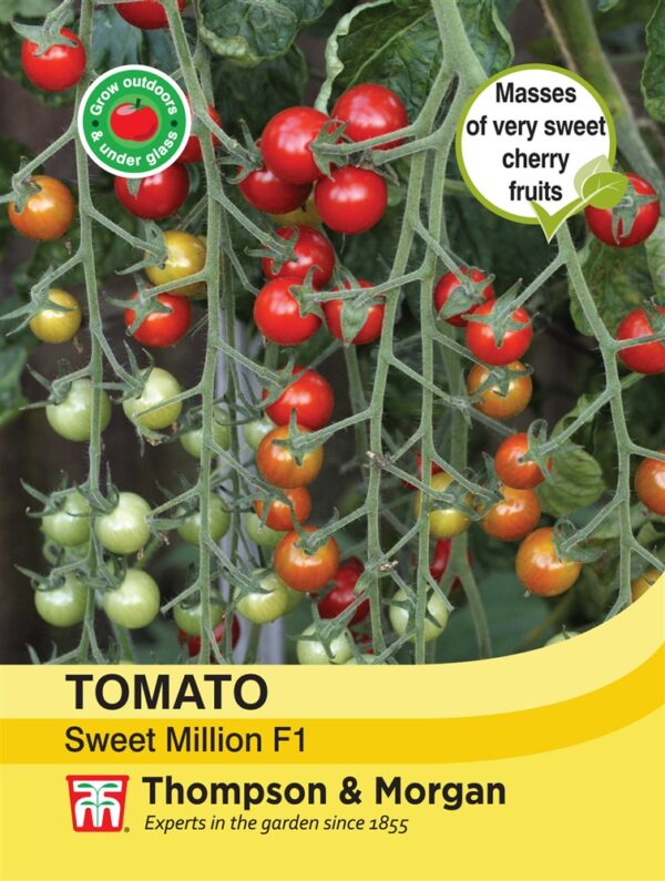 Tomato Sweet Million F1