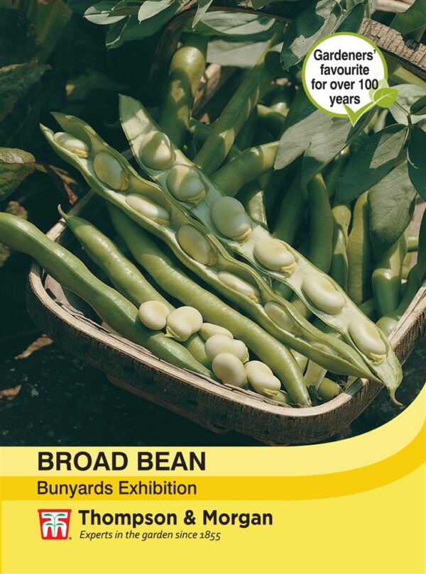 Broad Bean Bunyards Exhibit