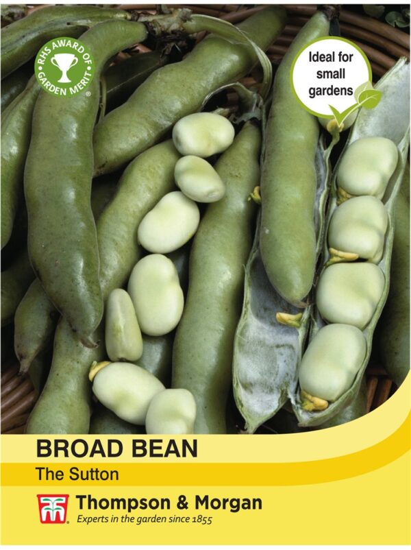 Broad Bean The Sutton