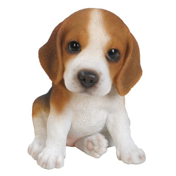 Pet Pal Beagle Puppy