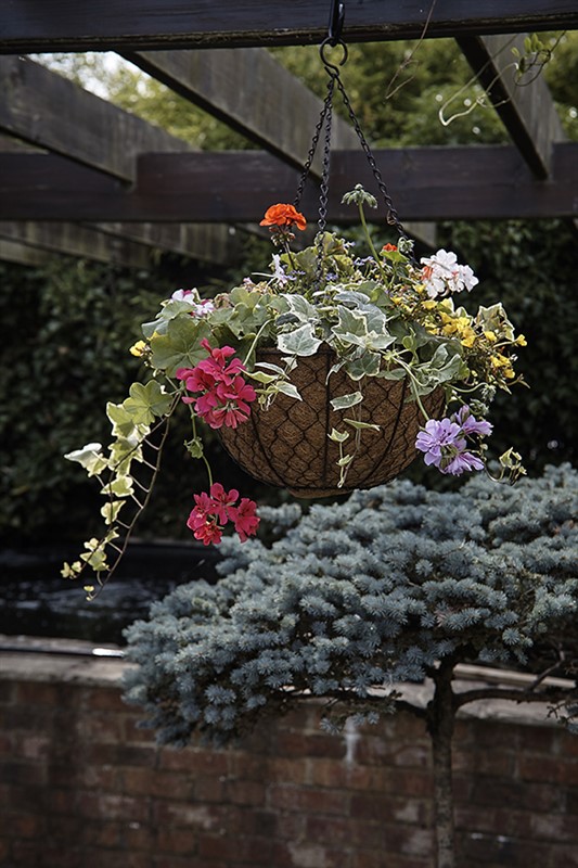 Decorative Hanging Basket 30cm Iron Acton Garden Centre