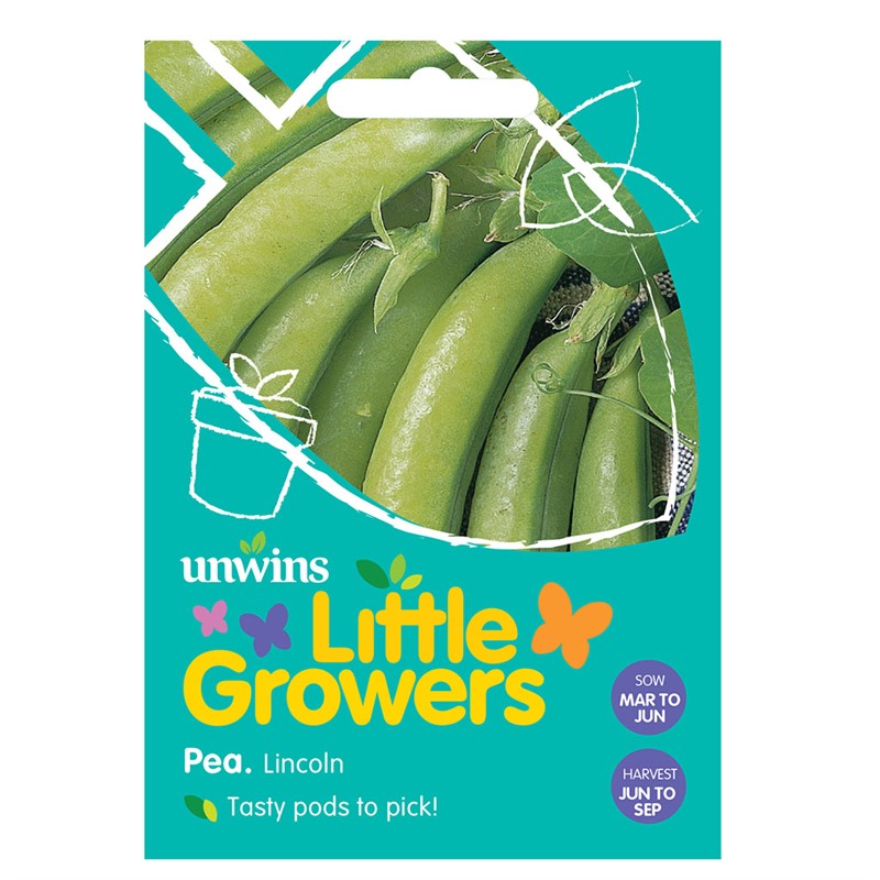 Little Growers Pea Lincoln