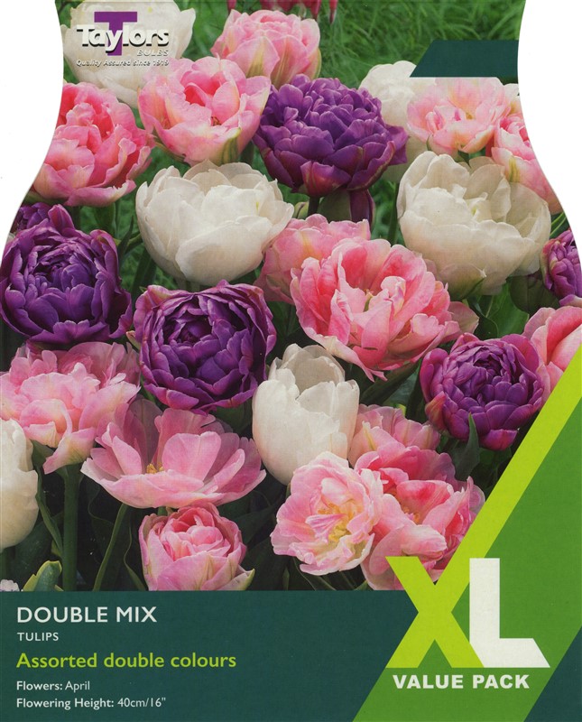 Tulip Double Mix 10-11 Xl