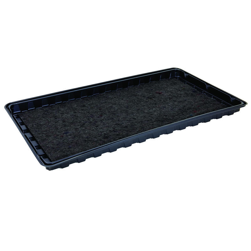 Watering Tray 2pk