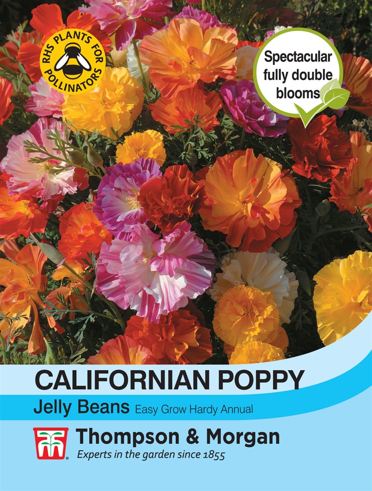 Californian Poppy Jelly