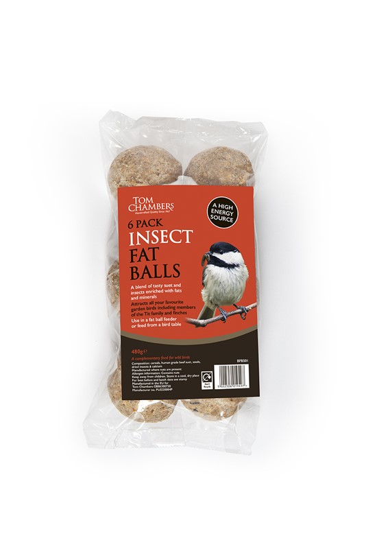 Fat Balls - 6 Pack - Insect