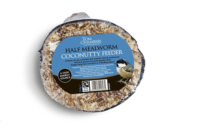Half  Mealworm Coconutty