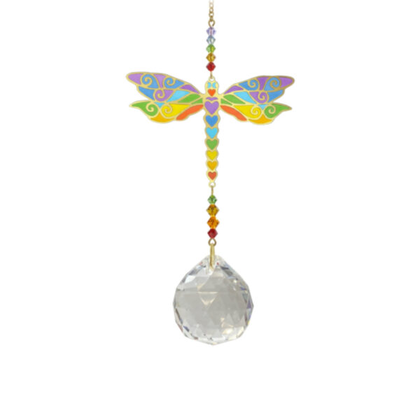 Wonders Dragonfly Rainbow