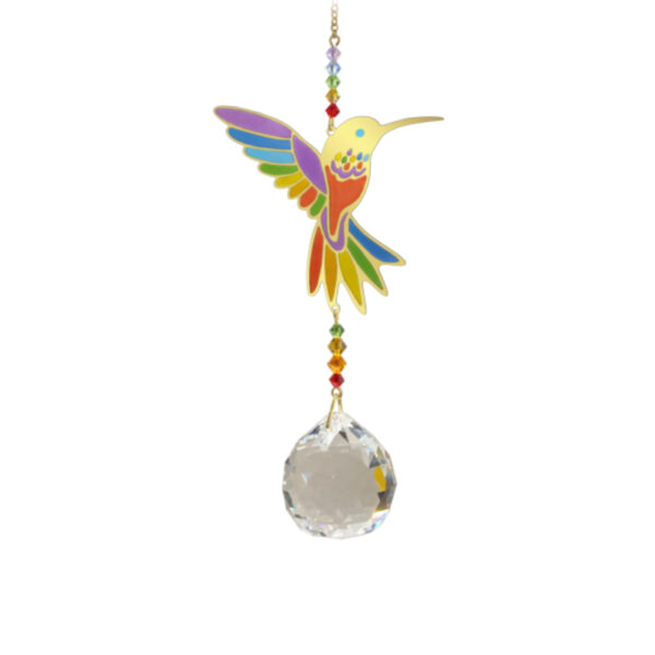 Wonders Hummingbird Rainbow